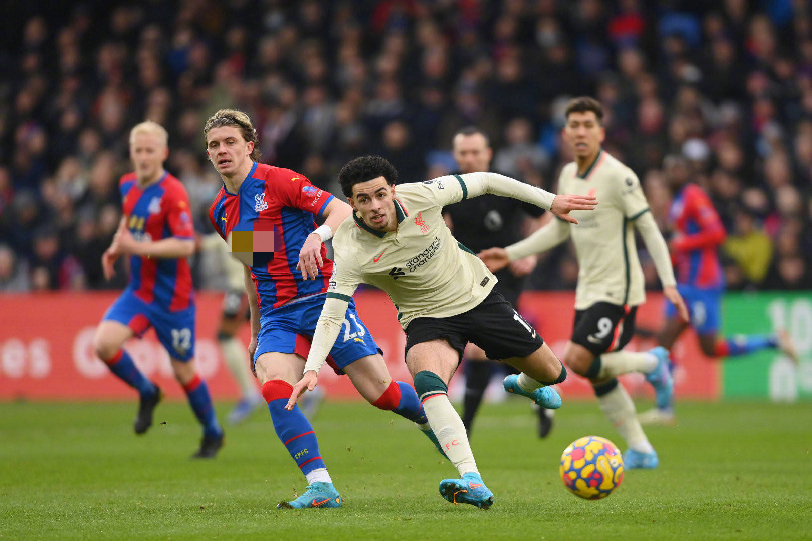 极大提高了 极大提高了